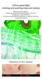 LED Facial Mask Pro